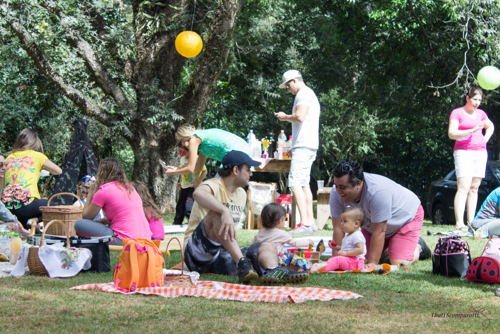 Pic nic Campinas