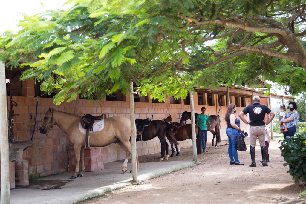 passeio de cavalo