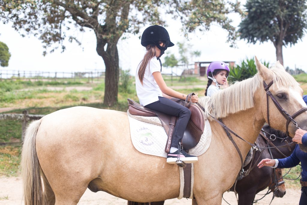 Hipismo em Campinas