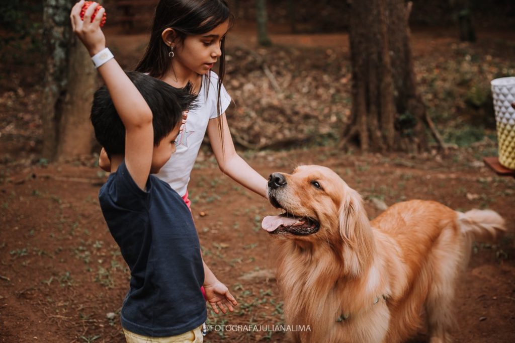 Pet Day acontece em Campinas nesse final de semana