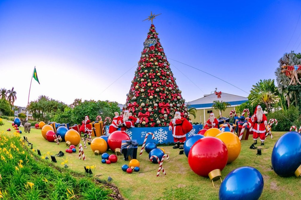 CENÁRIO VILA NATALINA ÁRVORE DE NATAL COM NOEL - Senhor Natal