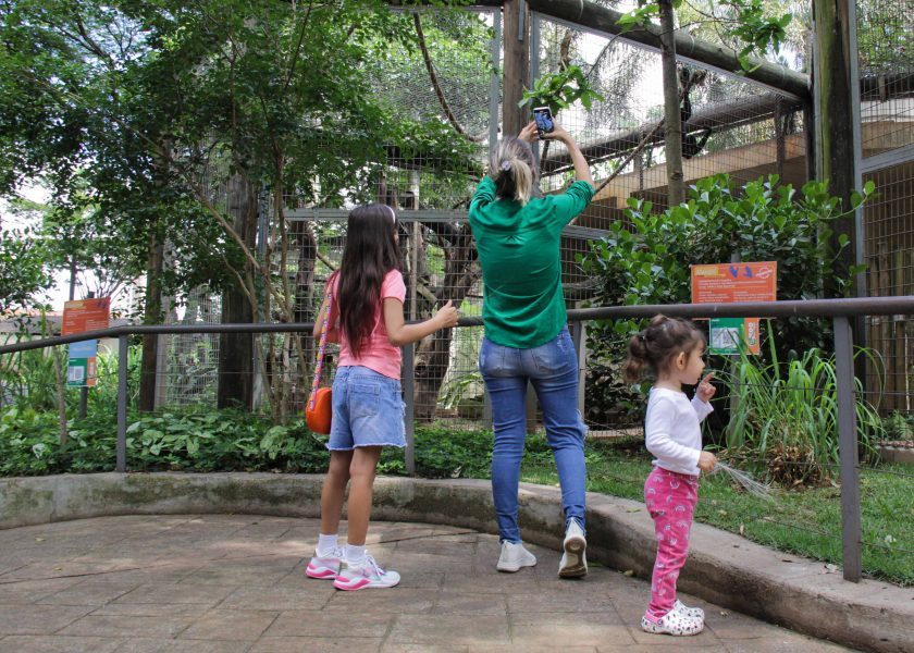 São Paulo para crianças - No interior! Corrida do Sonic leva personagens e  obstáculos para o Parque Ecológico de Campinas